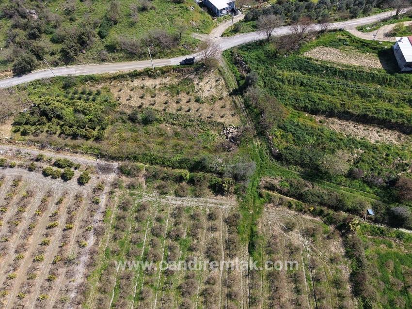 Eskiköy'de Göl Manzaralı 16.710m2 Satılık Nar Bahçesi