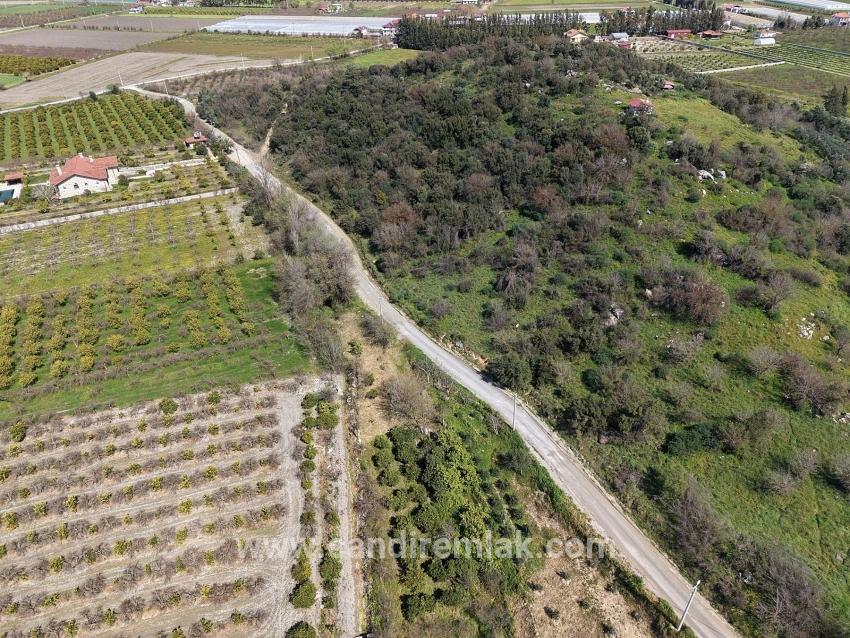 Eskiköy'de Göl Manzaralı 16.710m2 Satılık Nar Bahçesi