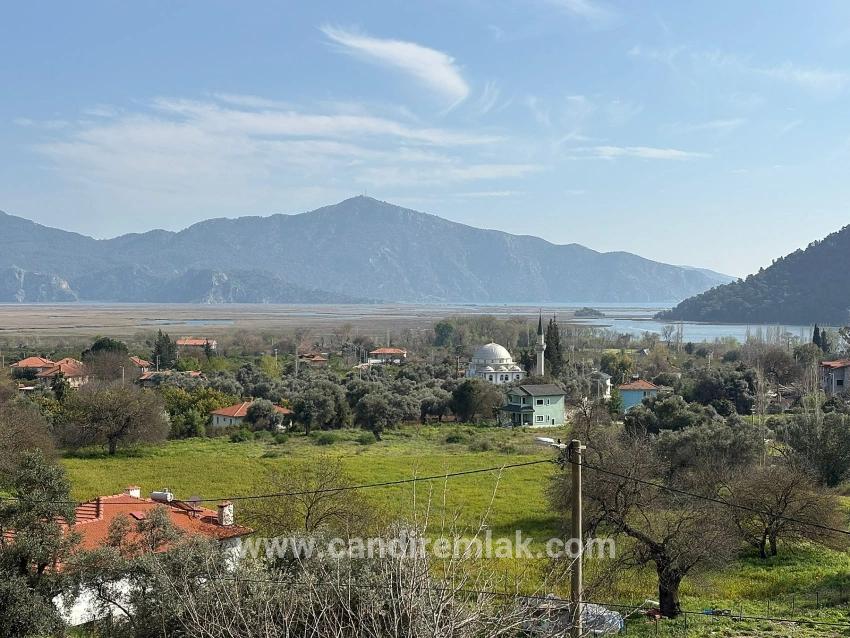 Köyceğiz Çandır Köyü'de Hisseli Rızai Taksimli 2.023m2 Satılık Tarla