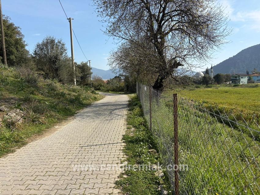 Köyceğiz Çandır Köyü'de Hisseli Rızai Taksimli 2.023m2 Satılık Tarla