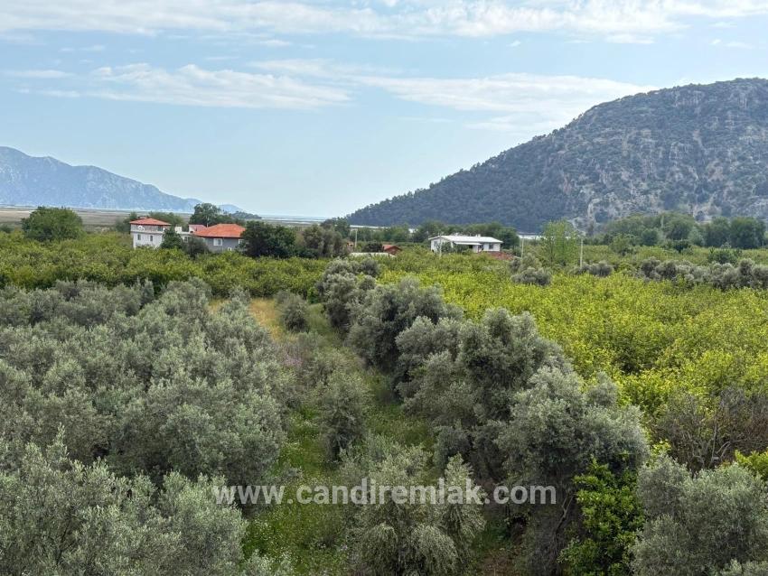 Çandır'da Deniz Ve Göl Manzaralı 1.721m2 Satılık Tarla