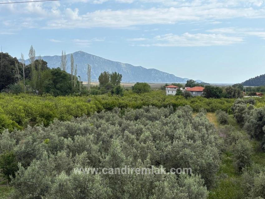 Çandır'da Deniz Ve Göl Manzaralı 1.721m2 Satılık Tarla