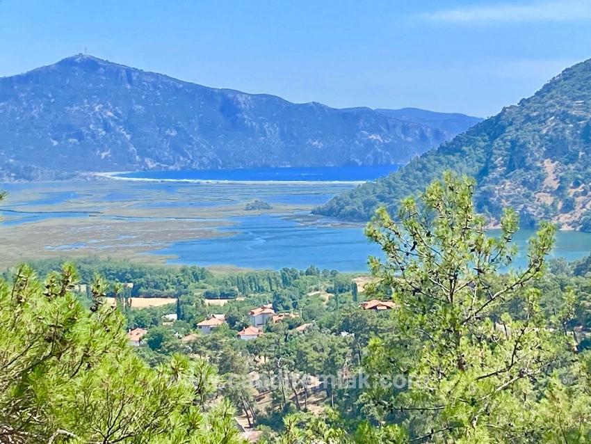 Köyceğiz Çandır Mah. Satılık Tarla - Tarla İmar Durumlu - 1.252 m²