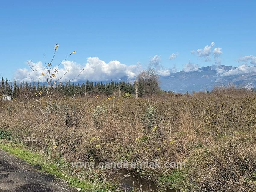 Tepearası'nda 23000m2 Müstakil Satılık Tarla
