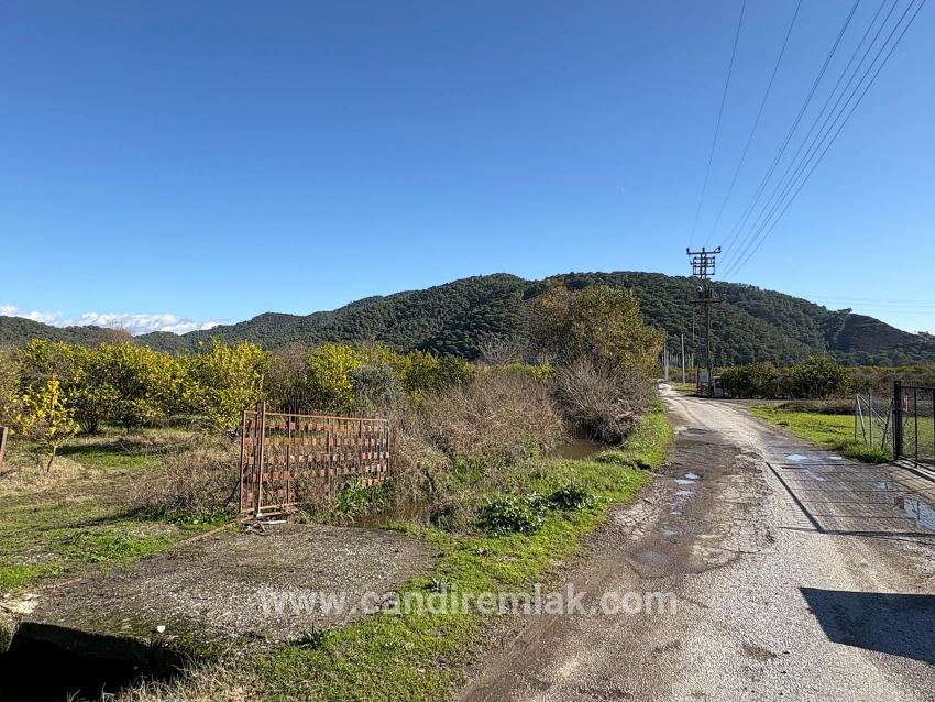 Tepearası'nda 23000m2 Müstakil Satılık Tarla