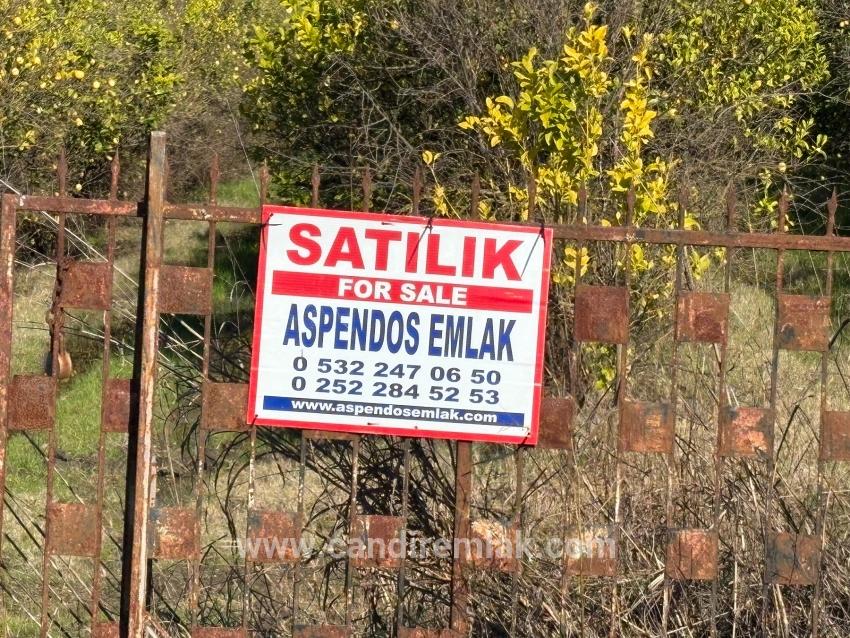 Tepearası'nda 23000m2 Müstakil Satılık Tarla
