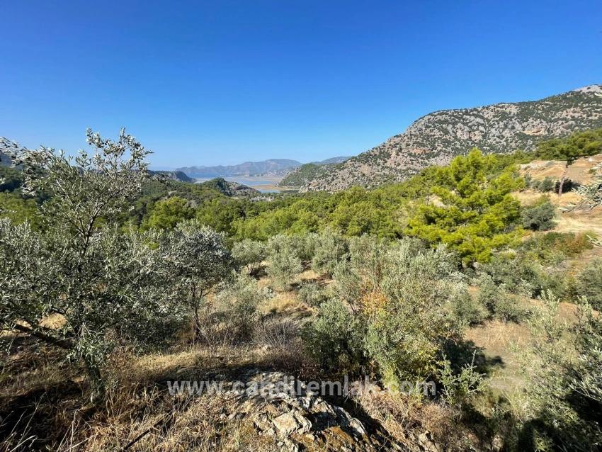 Gökbel'de Full Deniz Manzaralı 3514m2 Satılık Arsa