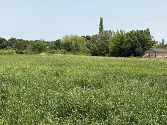 Okçular Marmarlı'da 2390m2 Satılık Arsa