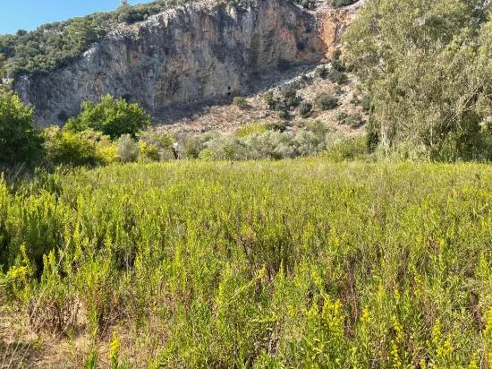 Çandır'da Kanala Sıfır 2765m2 Satılık Müstakil Ev