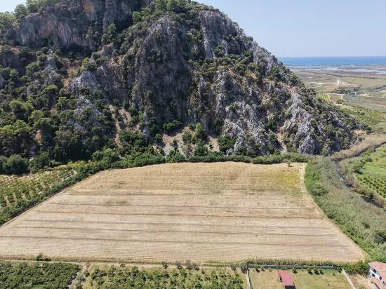 Dalyan'da 20.786m2 satılık tarla