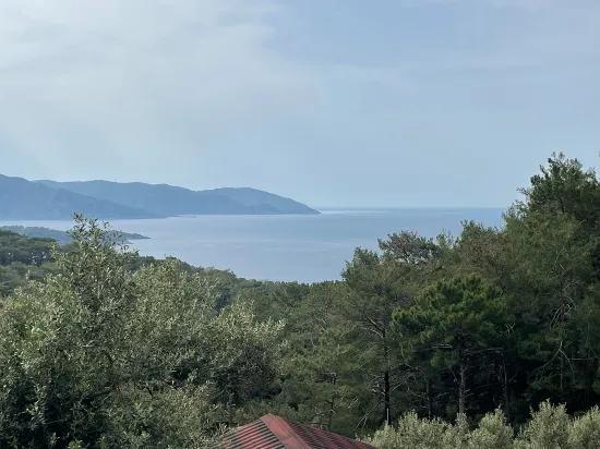 Köyceğiz Ekincik deniz manzaralı 7.000m2 2b satılık zeytinlik
