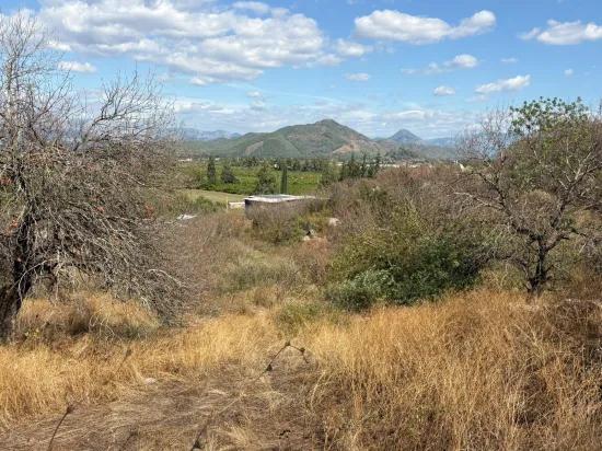 Dalyan Karadağ'da göl manzaralı 5.000m2 satılık tarla