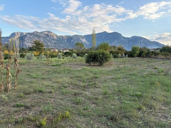 Dalyan'da 7.450m2 %5 İmarlı Satılık Arsa