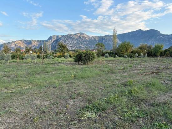 Dalyan'da 7.450m2 %5 İmarlı Satılık Arsa