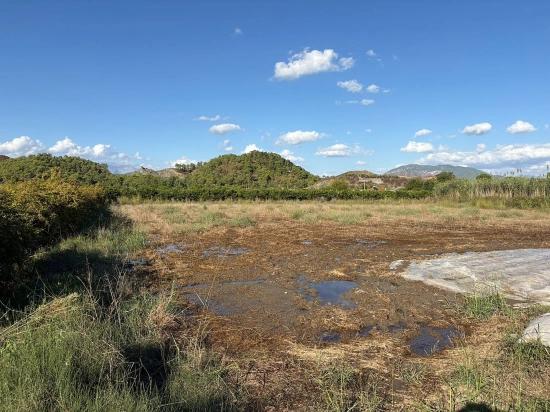 Ortaca Yeşilyurt'ta İmarlı 3900m2 Satılık Arsa