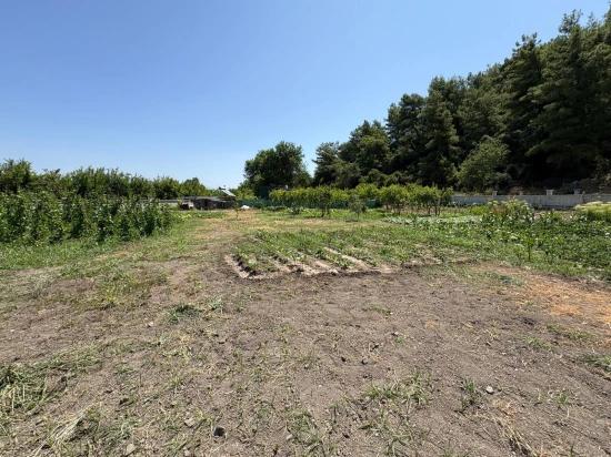 Dalyan Karadağ Mevkiinde 2500m2 Tarla İçerisinde 120m2 Müstakil Ahşap Ev
