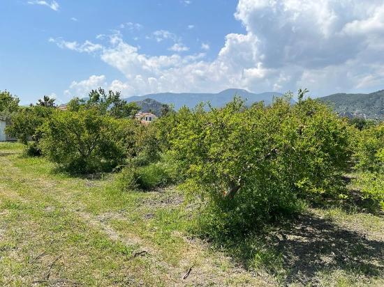 Dalyan Maraş Mevkiinden 5,100m2 %5 Konut İmarlı Satılık Arsa