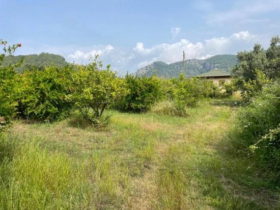 Gökbel'de İztuzu Plajı Yoluna Sıfır 7800m2 Satılık Arazi