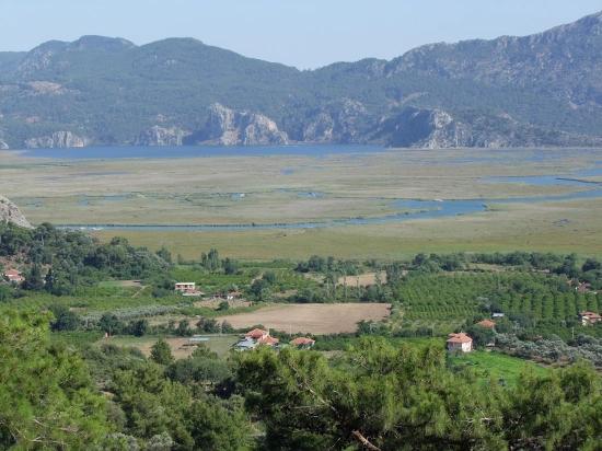 Köyceğiz Çandır'da 19.334m2 Satılık Tarla