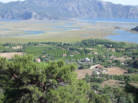 Köyceğiz Çandır'da 19.334m2 Satılık Tarla