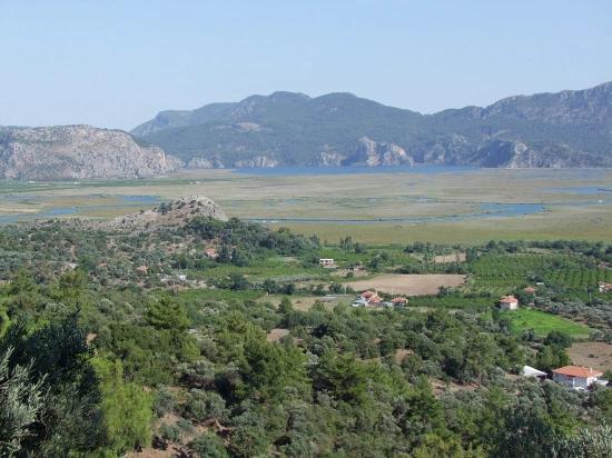 Köyceğiz Çandır'da 19.334m2 Satılık Tarla