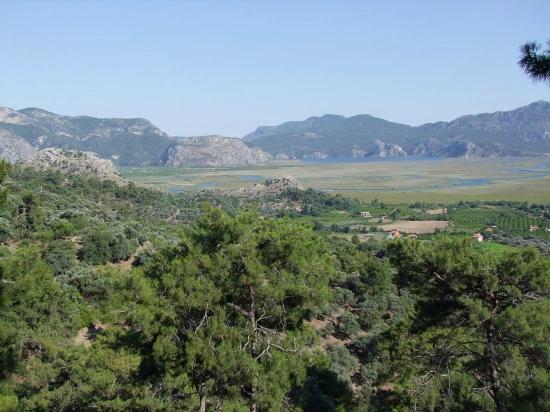 Köyceğiz Çandır'da 19.334m2 Satılık Tarla