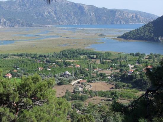 Köyceğiz Çandır'da 19.334m2 Satılık Tarla