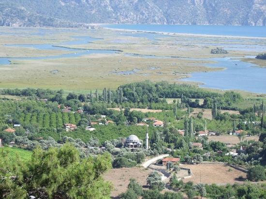 Köyceğiz Çandır'da 19.334m2 Satılık Tarla