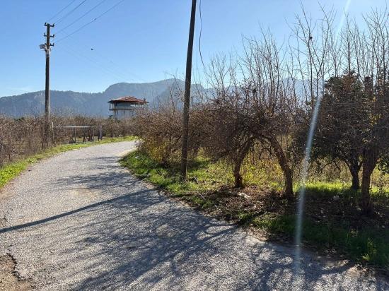 Dalyan'da 4.541m2 Satılık Bahçe