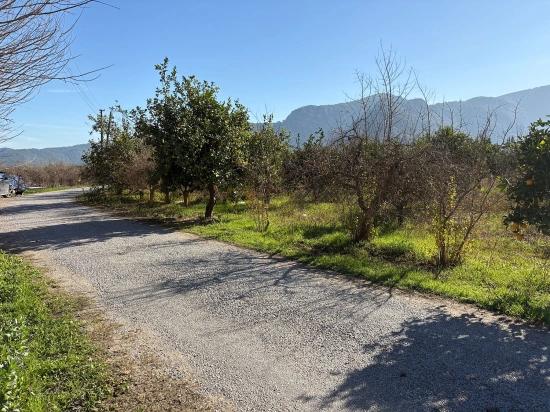 Dalyan'da 4.541m2 Satılık Bahçe