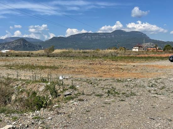 Dalyan İztuzu Plaj Yoluna Sıfır 19.600m2 Satılık Tarla