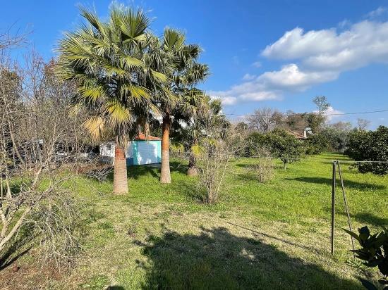 Eskiköy'de 2882 M2 Arsa İçerisinde Müstakil Satılık Tek Katlı Ev