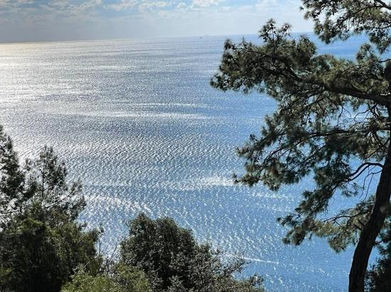 Çandır Full Deniz Manzaralı 20.000m2 Satılık 2b