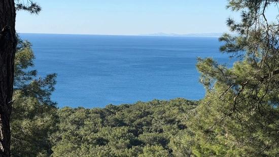 Çandır'da Full Deniz Manzaralı 5715m2 Satılık 2b Tarla