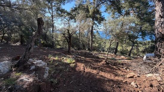 Çandır'da Full Deniz Manzaralı 5715m2 Satılık 2b Tarla