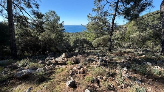 Çandır'da Full Deniz Manzaralı 5715m2 Satılık 2b Tarla
