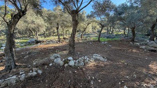 Çandır'da Full Deniz Manzaralı 5715m2 Satılık 2b Tarla