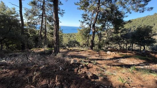 Çandır'da Full Deniz Manzaralı 5715m2 Satılık 2b Tarla