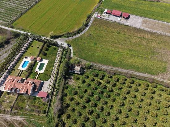 Dalyan Merkeze Yakın 17.550m2 Satılık Bağ-bahçe