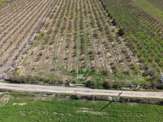 Eskiköy'de Göl Manzaralı 16.710m2 Satılık Nar Bahçesi