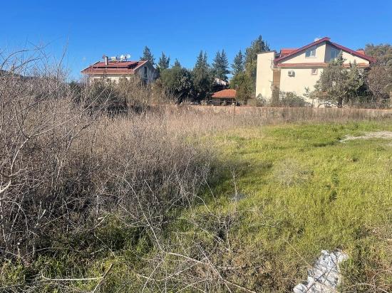 Dalyan Gülpınar Köşebaşı Satılık 1000m2 Arsa