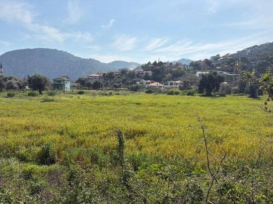 Köyceğiz Çandır Köyü'de Hisseli Rızai Taksimli 2.023m2 Satılık Tarla