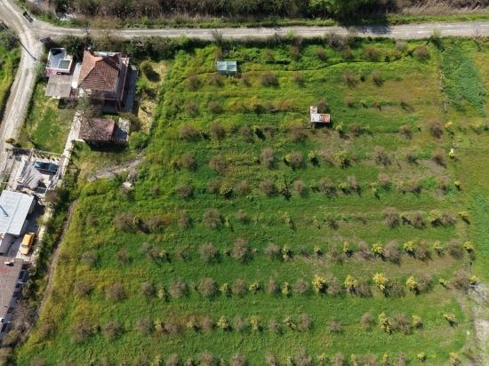 Eskiköy'de 11,000m2 Arsa İçinde Turizm Amaçlı İşletme Satılık