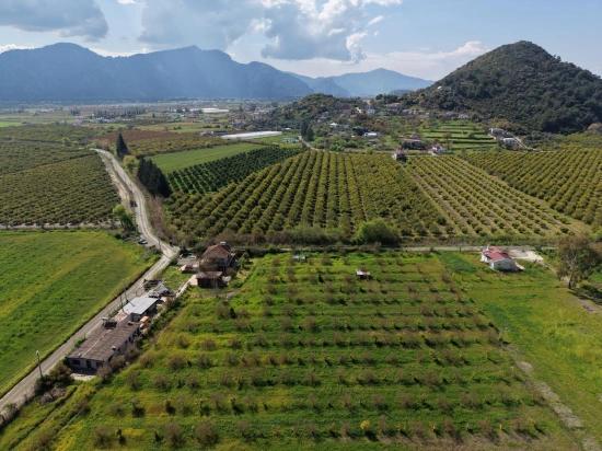 Eskiköy'de 11,000m2 Arsa İçinde Turizm Amaçlı İşletme Satılık