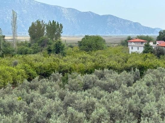Çandır'da Deniz Ve Göl Manzaralı 1.721m2 Satılık Tarla