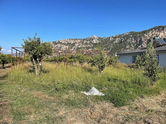 Dalyan'da Merkeze Yakın 6600m2 Satılık Tarla