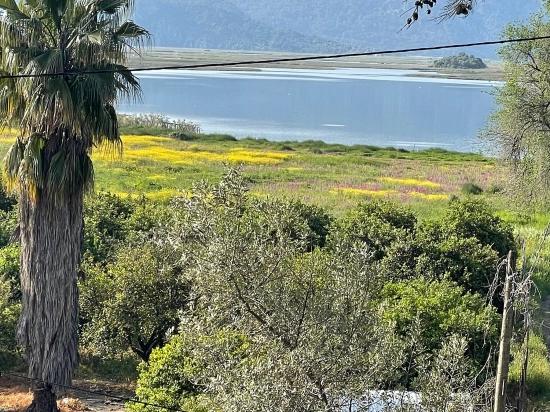 Çandır'da Göl Manzaralı 1252m2 Satılık Arsa