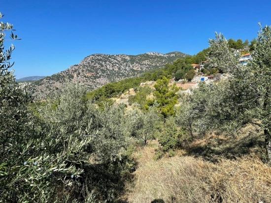 Gökbel'de Full Deniz Manzaralı 3514m2 Satılık Arsa