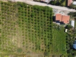 Ortaca Okçular Mah. Satılık Arsa - Konut İmar Durumlu - 1.050 m²