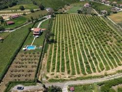 Ortaca Dalyan Mah. Satılık Tarla - Tarla İmar Durumlu - 5.100 m²